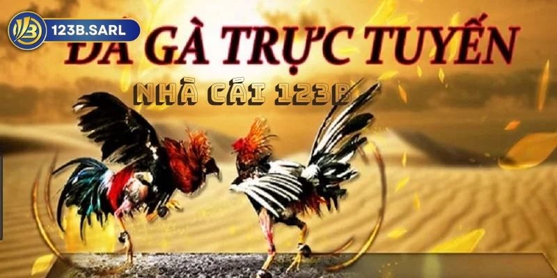 Đá Gà 123b